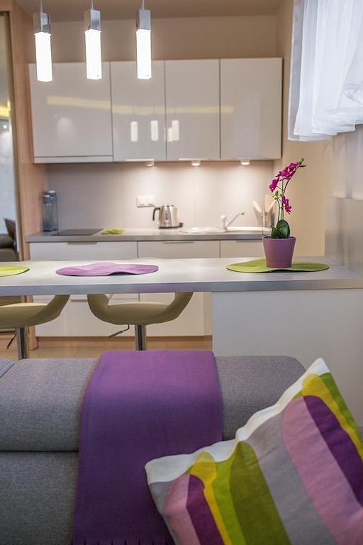 Oliwkowy, Apartament Widokowy Z Duzym Tarasem Zakopane Phòng bức ảnh
